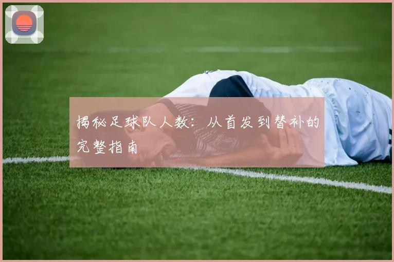 揭秘足球队人数：从首发到替补的完整指南